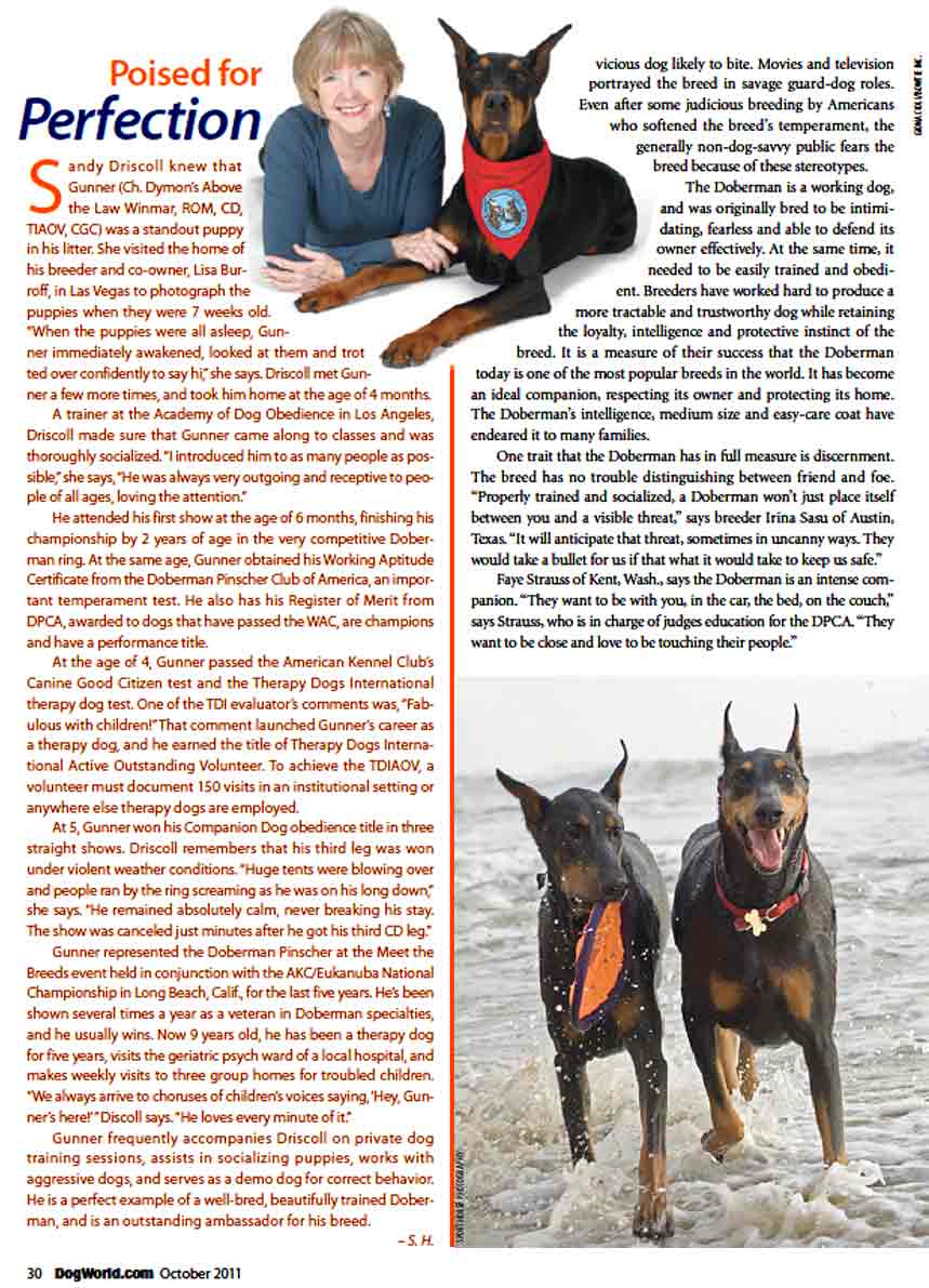 Dog World Article pg 3