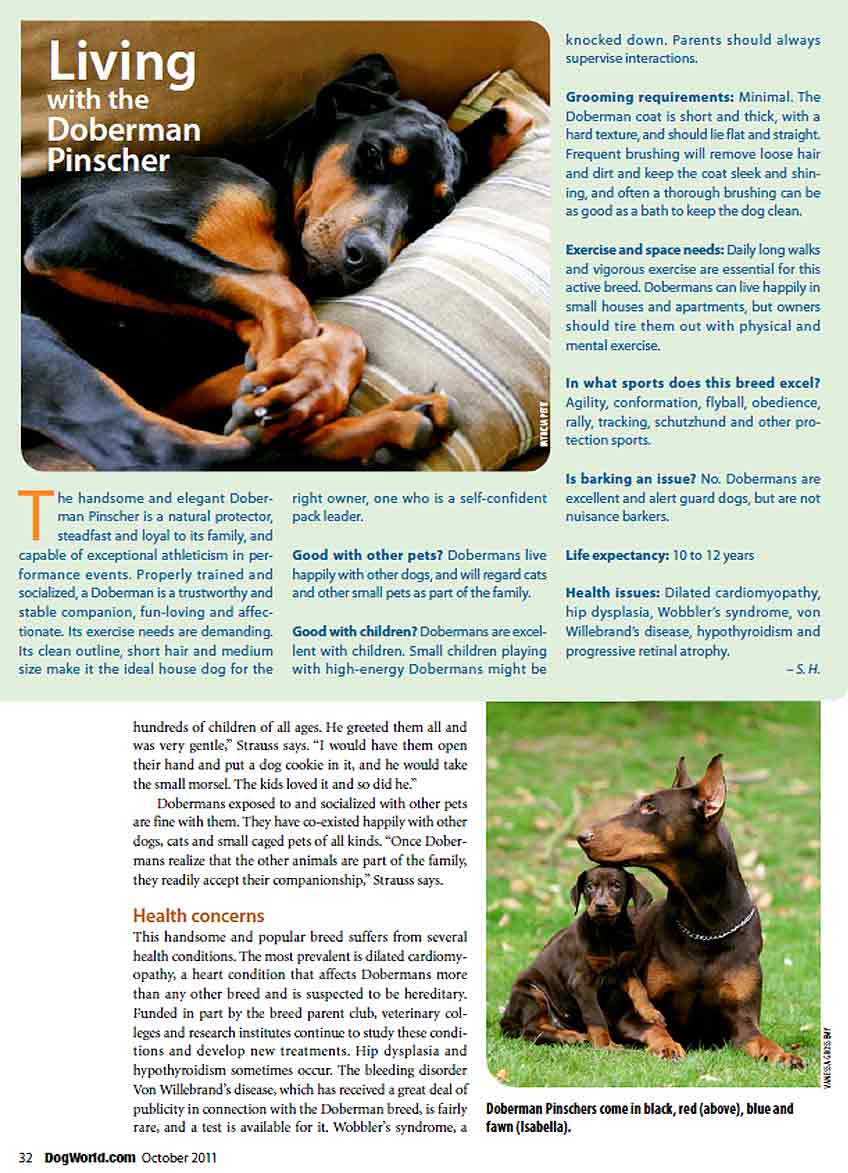 Dog World Article pg 5